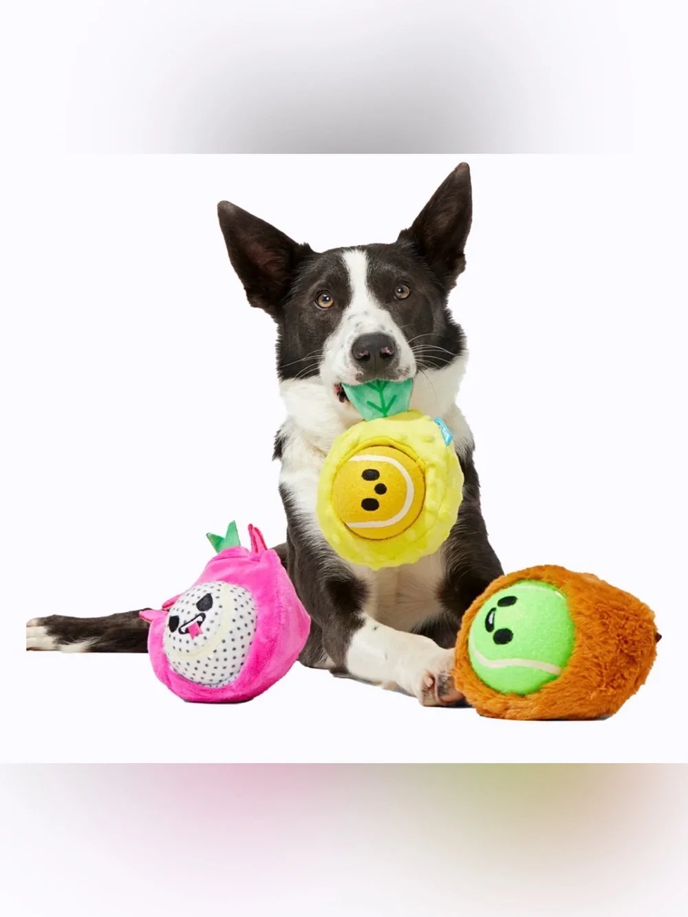 Bark Box M-L Plush ultimate Dog Joy 6 Toys in 1 Plush Dog Toy Set NEW Balls & cr